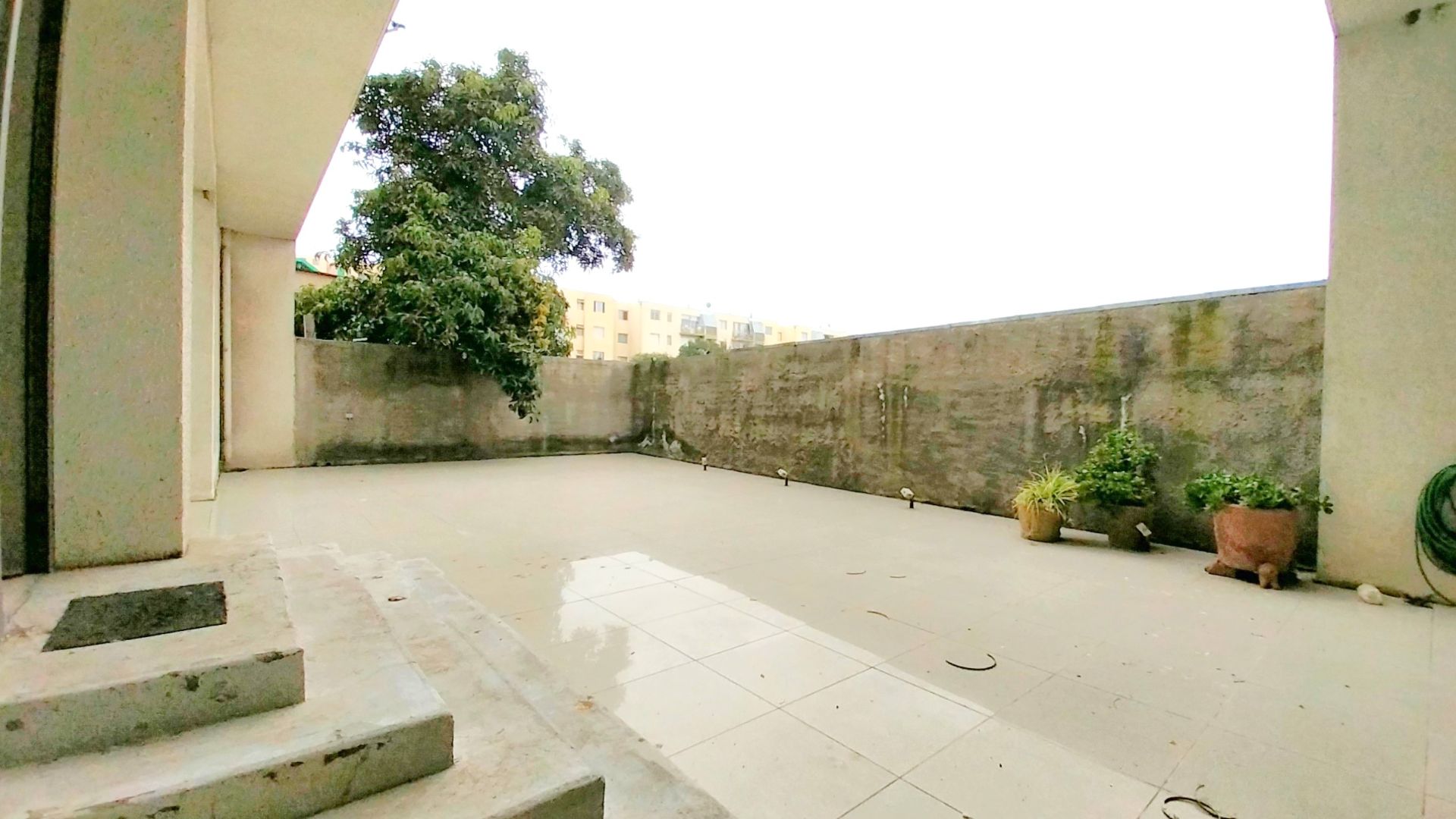 Miniatura 20